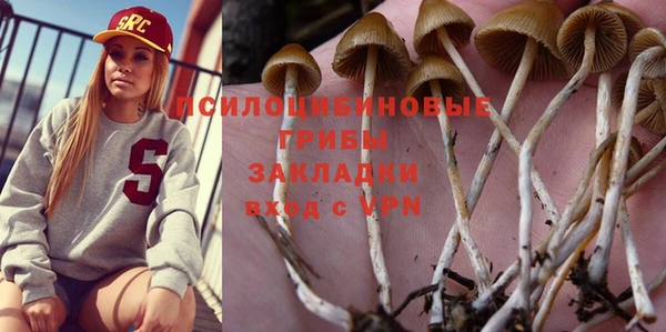 гидропоника Балабаново