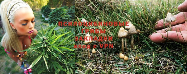 гидропоника Балабаново