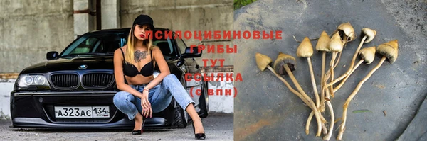 стафф Балахна
