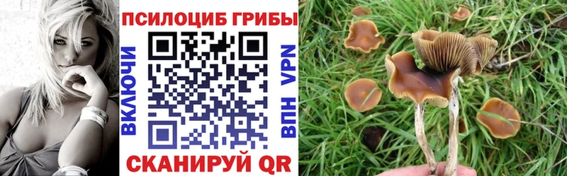 как найти закладки Северо-Курильск Галлюциногенные грибы Psilocybine cubensis